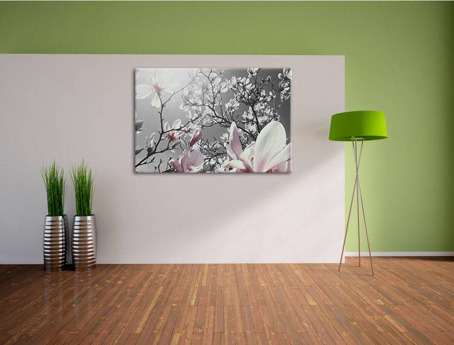 Pixxprint schöne Magnolie Blüten, Leinwandbild Limitierter Zeitrabatt