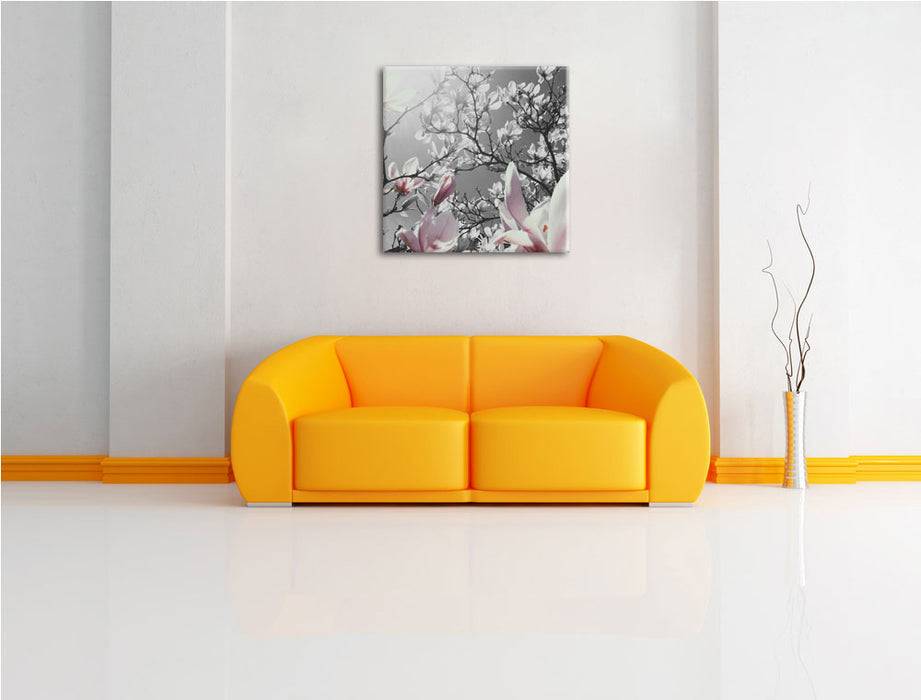 Pixxprint schöne Magnolie Blüten, Leinwandbild Limitierter Zeitrabatt