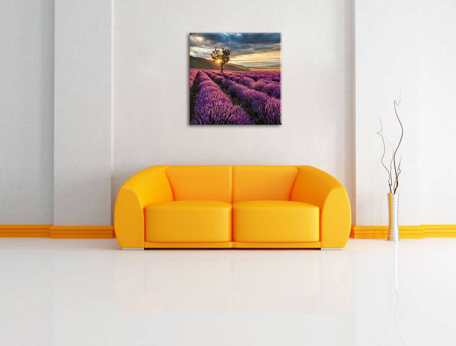 Pixxprint Lavendel Provence mit Baum, Leinwandbild Fabrik Onlineshop