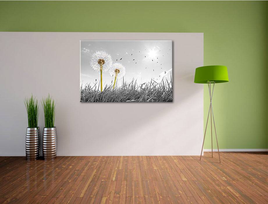 Pixxprint Pusteblumen auf Wiese, Leinwandbild Fabrikpreis
