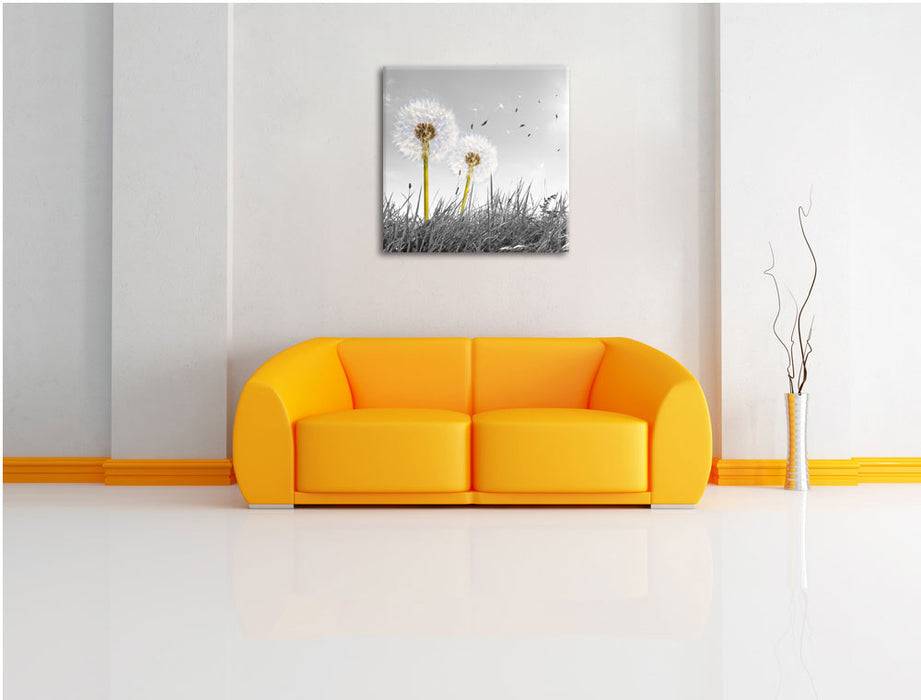 Pixxprint Pusteblumen auf Wiese, Leinwandbild Fabrikpreis