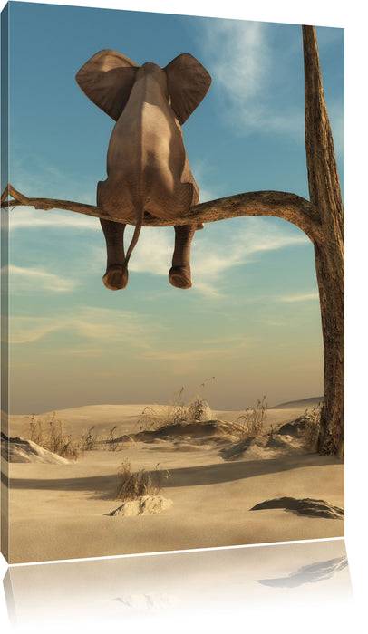 Pixxprint Elefant auf Ast, Leinwandbild
