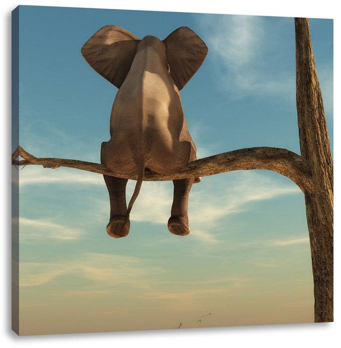 Pixxprint Elefant auf Ast, Leinwandbild Rabatt