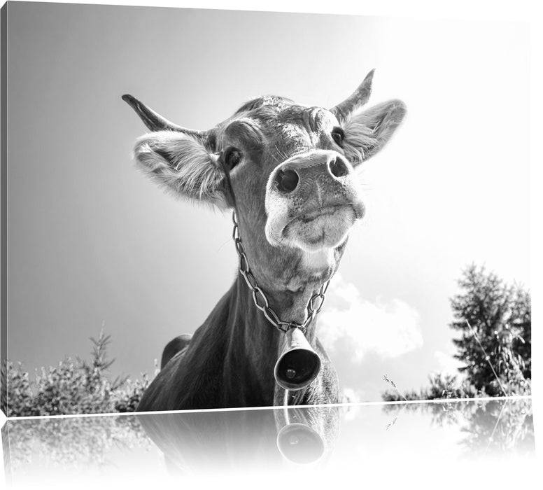 Pixxprint Portrait einer Kuh B&W, Leinwandbild