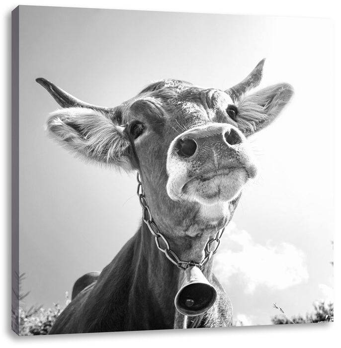 Pixxprint Portrait einer Kuh B&W, Leinwandbild Versandkostenfrei