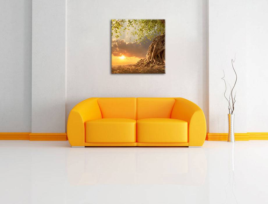 Pixxprint Verwurzelter starker Baum, Leinwandbild Flash Sale