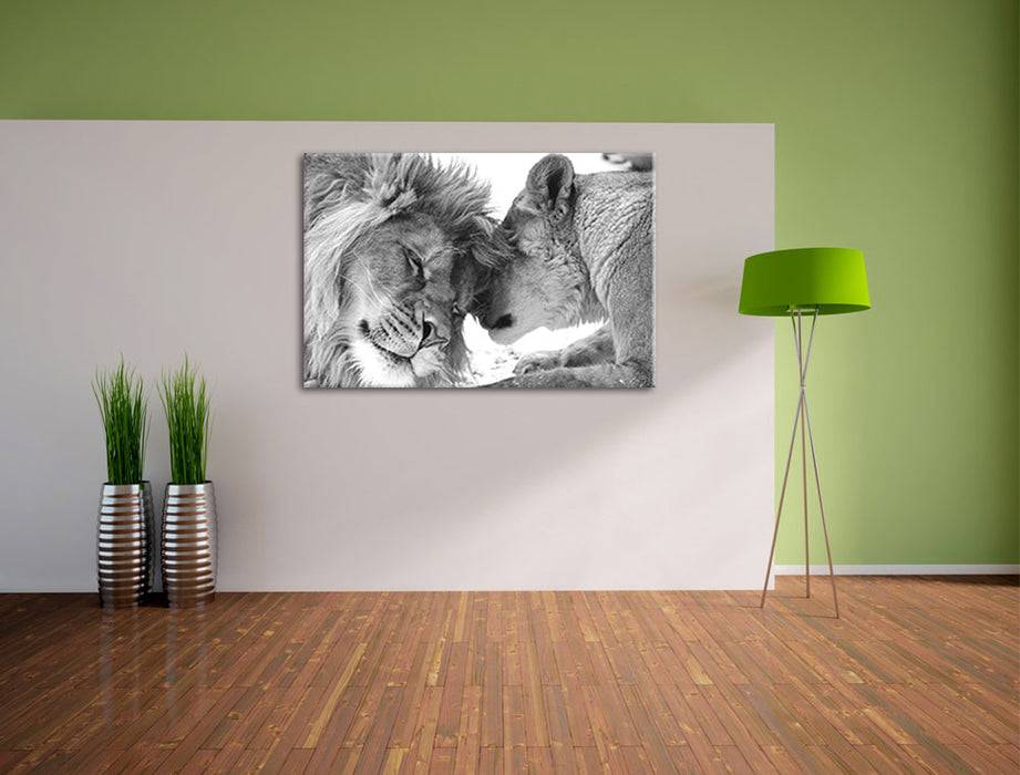 Pixxprint Bezauberndes kuschelndes Löwenpaar, Leinwandbild Begrenztes Angebot