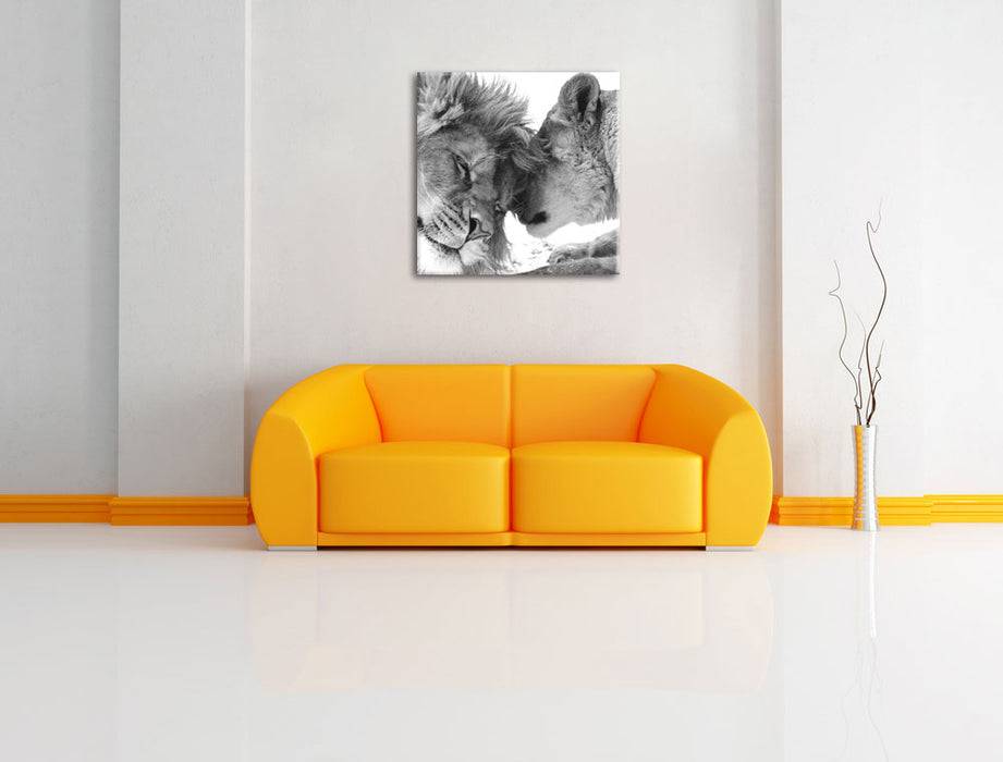 Pixxprint Bezauberndes kuschelndes Löwenpaar, Leinwandbild Begrenztes Angebot