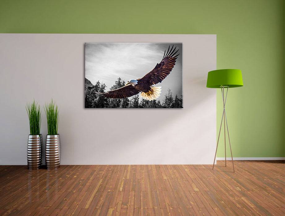 Pixxprint großer fliegender Adler, Leinwandbild Online Shopping