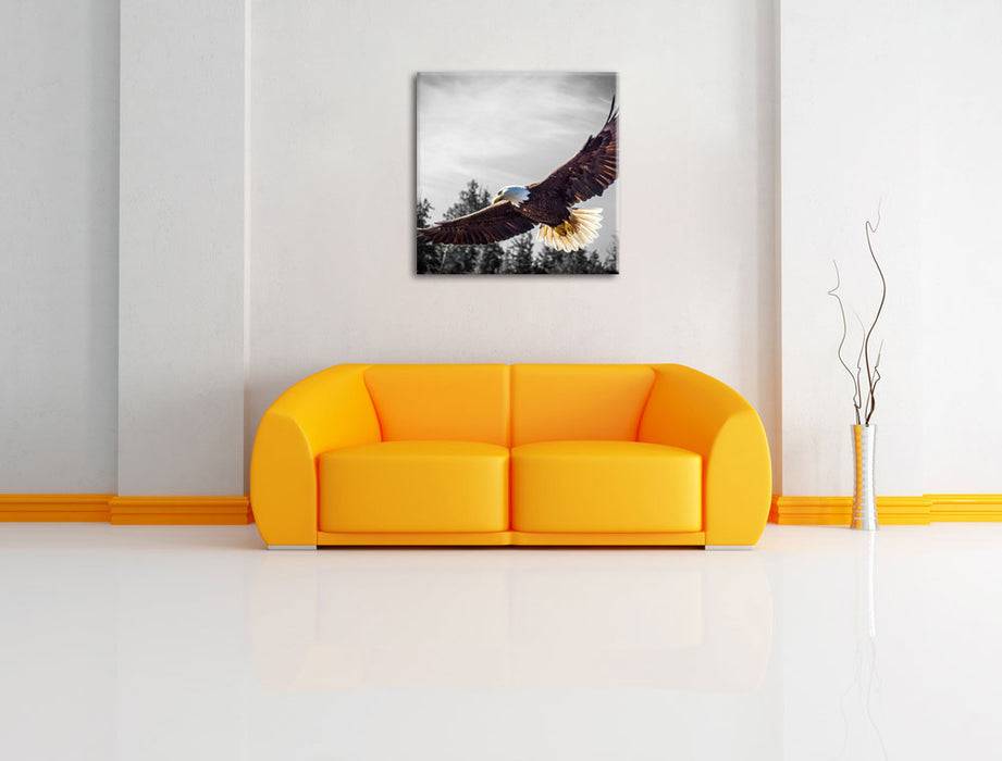 Pixxprint großer fliegender Adler, Leinwandbild Online Shopping