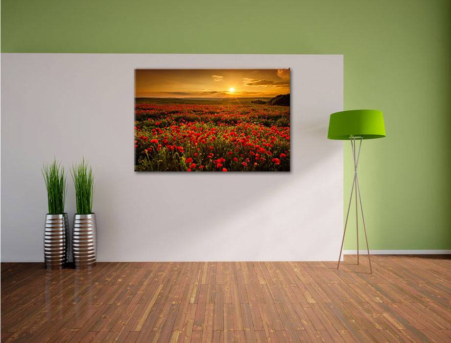 Pixxprint Mohnblütenfeld bei Sonnenuntergang, Leinwandbild Exklusivangebot