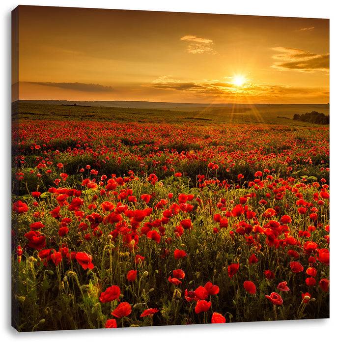 Pixxprint Mohnblütenfeld bei Sonnenuntergang, Leinwandbild Exklusivangebot