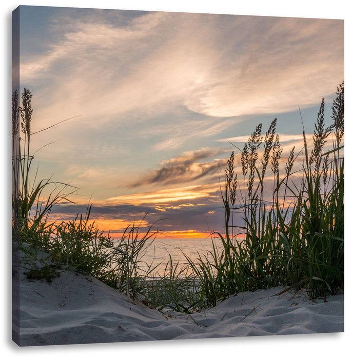 Pixxprint Gras am Strand bei Sonnenuntergang, Leinwandbild Preisnachlass