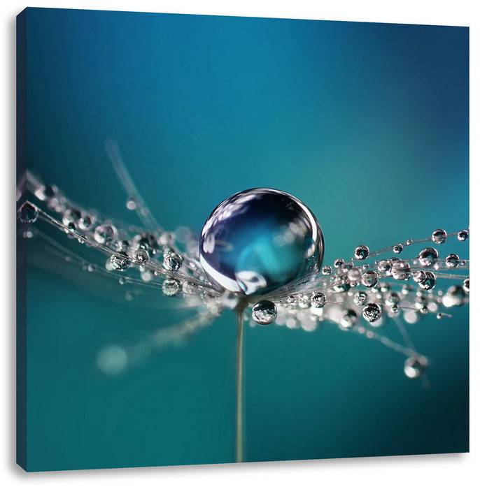 Pixxprint Wassertropfen an Pusteblume, Leinwandbild Osterangebot