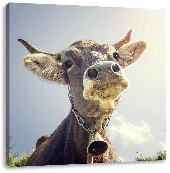 Pixxprint Lustiges Portrait einer Kuh, Leinwandbild Jubiläumsangebot