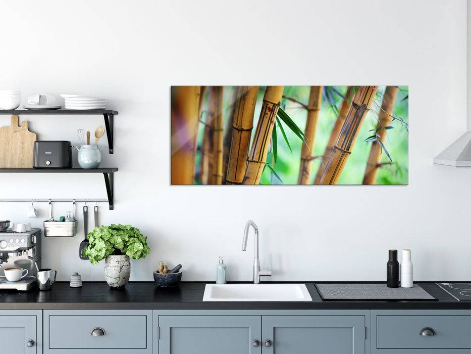 Pixxprint Alter Bambus Wald, Glasbild Panorama Blitzangebot