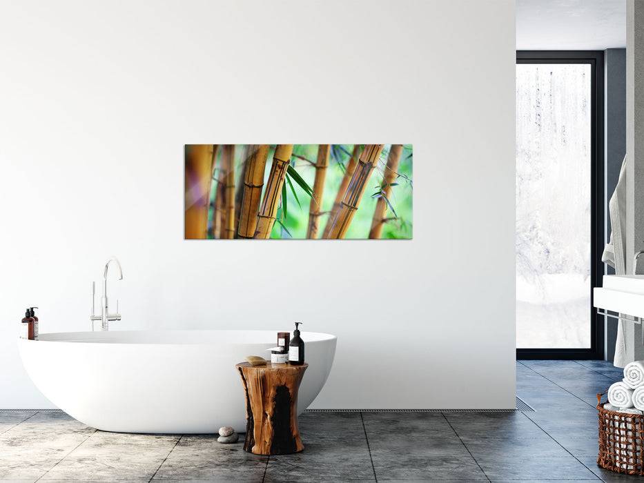 Pixxprint Alter Bambus Wald, Glasbild Panorama Blitzangebot