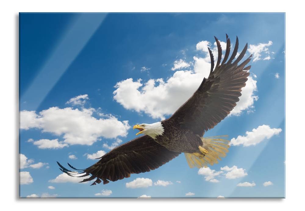 Pixxprint Adler fliegt über Berge, Glasbild