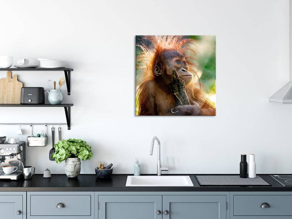 Pixxprint Orang-Utan Baby spielt mit Stock, Glasbild Quadratisch Sonderangebote