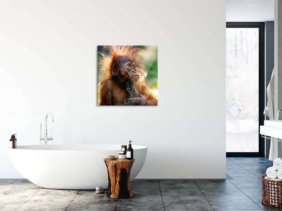 Pixxprint Orang-Utan Baby spielt mit Stock, Glasbild Quadratisch Sonderangebote