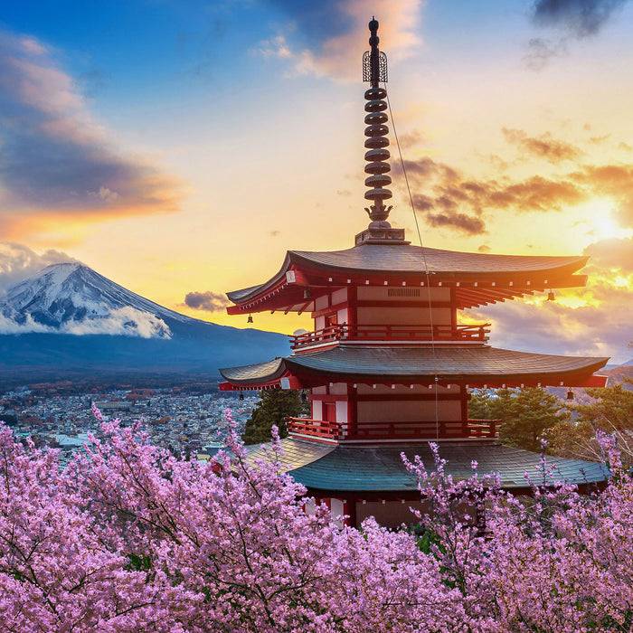 Pixxprint Japanischer Tempel zwischen Kirschblüten, Glasbild Quadratisch Riesige Ersparnisse