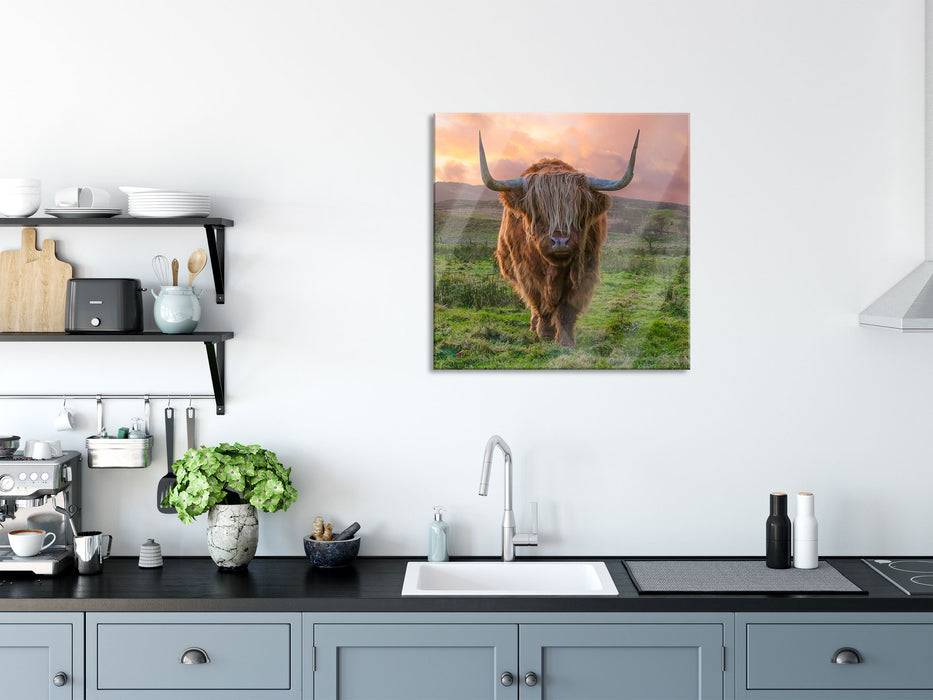 Pixxprint Highlandrind bei Sonnenuntergang, Glasbild Quadratisch Tiefpreis