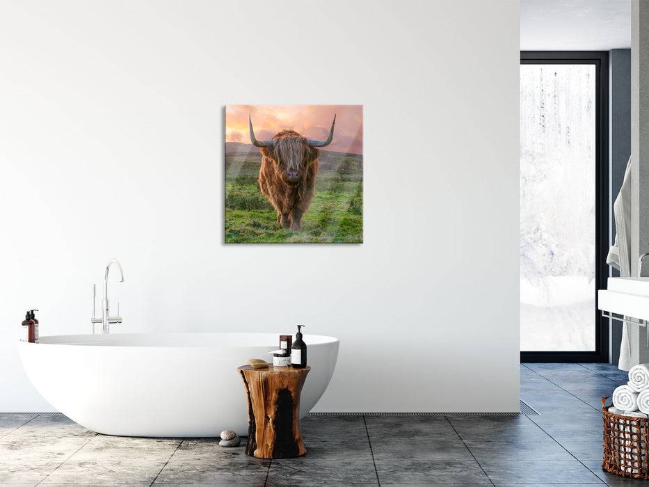 Pixxprint Highlandrind bei Sonnenuntergang, Glasbild Quadratisch Tiefpreis