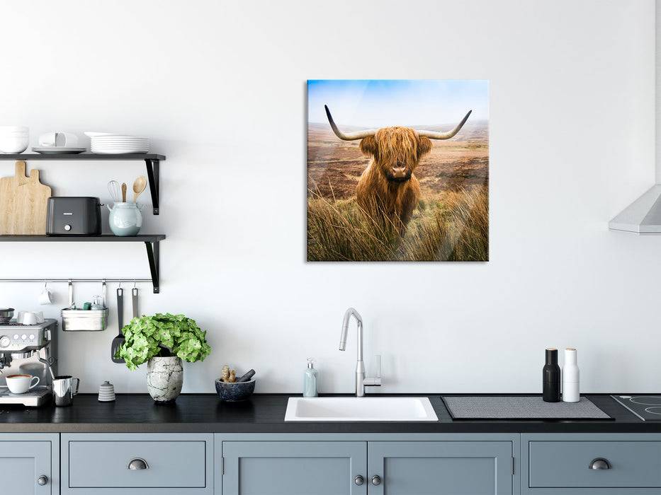 Pixxprint Highland Rind mit großen Hörnern Steppe, Glasbild Quadratisch Super Sparpreis