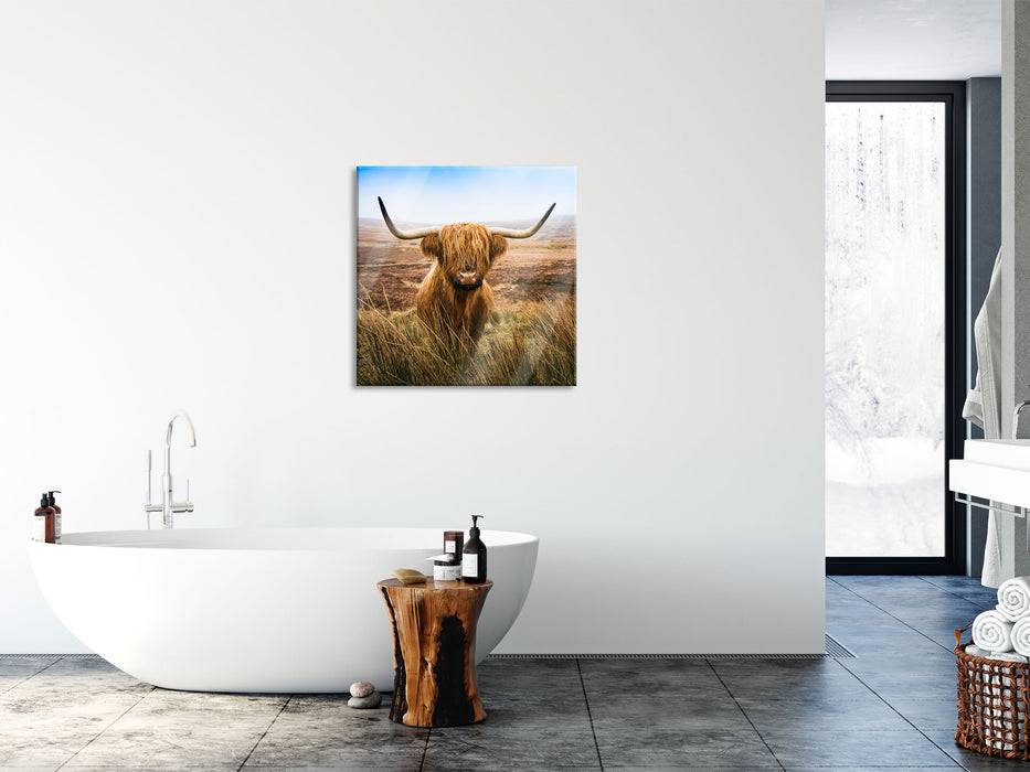 Pixxprint Highland Rind mit großen Hörnern Steppe, Glasbild Quadratisch Super Sparpreis
