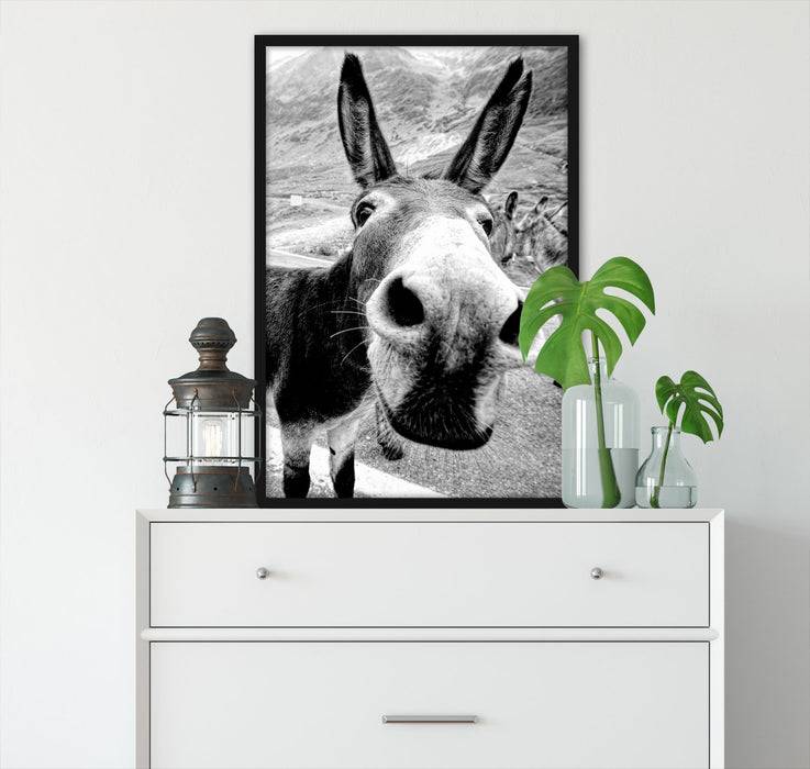 Pixxprint Lustiger Esel auf Straße in den Bergen, Monochrome, Poster mit Bilderrahmen Bis zu 60% Rabatt