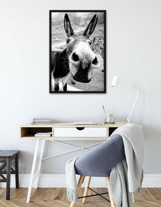 Pixxprint Lustiger Esel auf Straße in den Bergen, Monochrome, Poster mit Bilderrahmen Bis zu 60% Rabatt