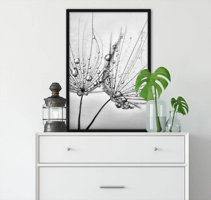 Pixxprint Pusteblumen mit Tautropfen, Poster mit Bilderrahmen Nur für heute