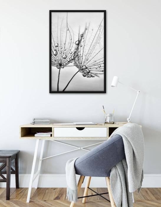 Pixxprint Pusteblumen mit Tautropfen, Poster mit Bilderrahmen Nur für heute