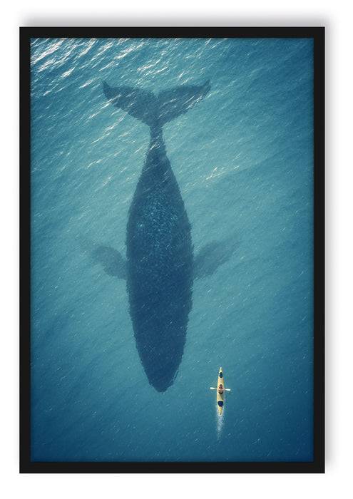 Pixxprint Riesiger Wal Schatten, Poster mit Bilderrahmen