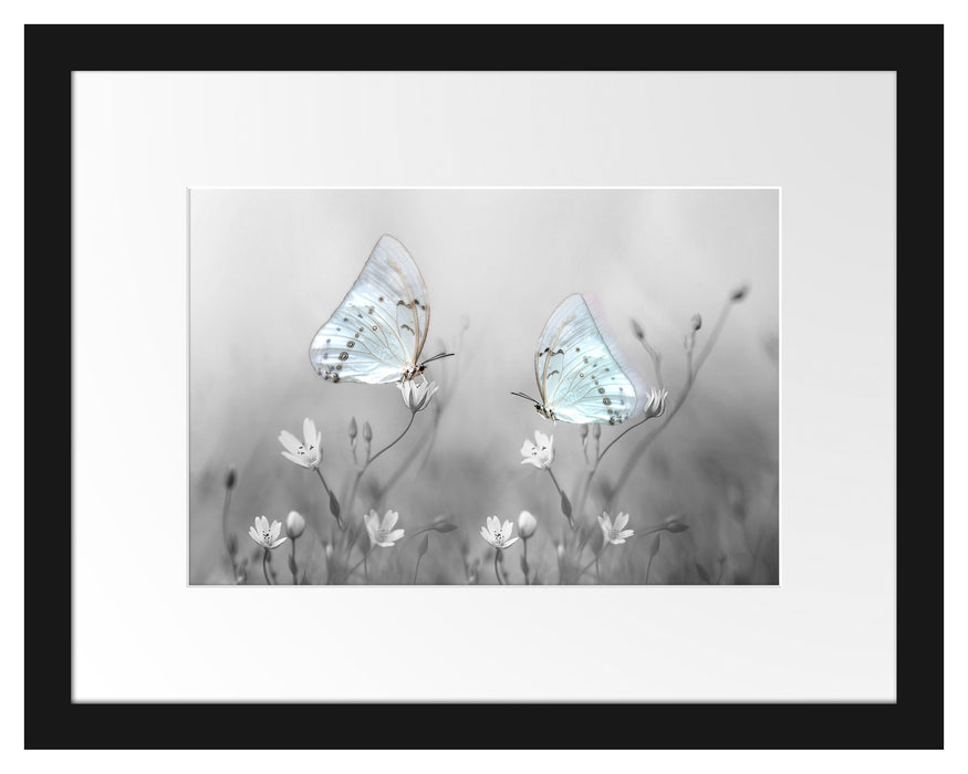 Pixxprint Schmetterling auf kleinen Blumen, im Galerie-Passepartout Bilderrahmen 2025