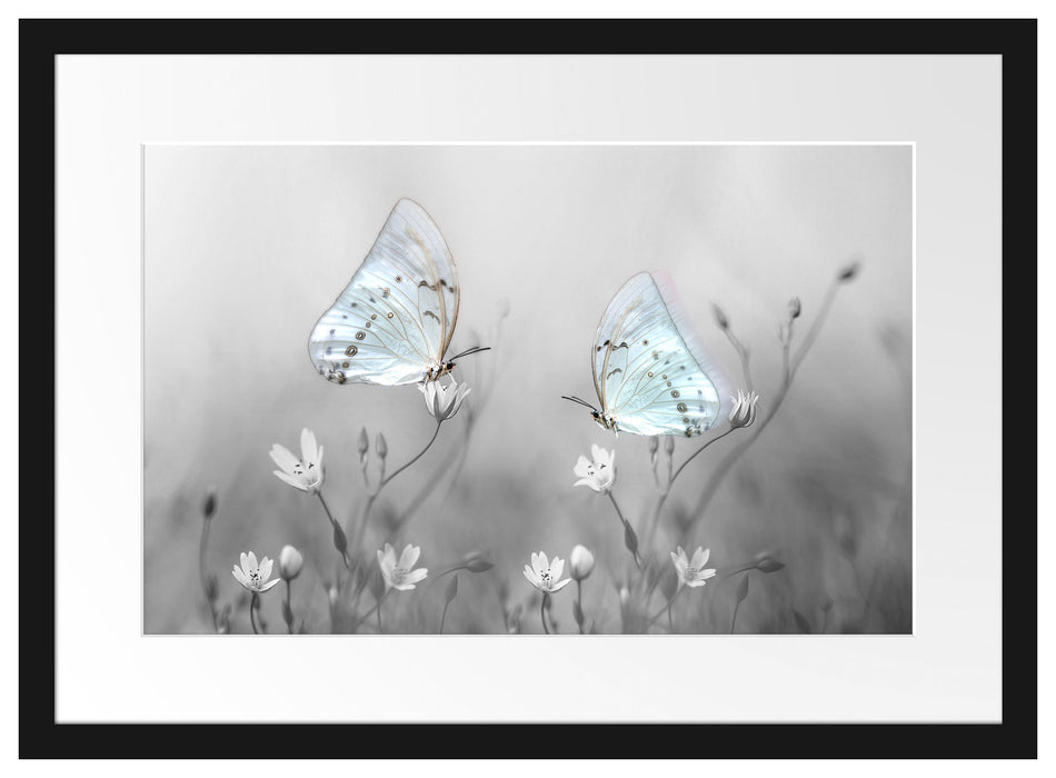 Pixxprint Schmetterling auf kleinen Blumen, im Galerie-Passepartout Bilderrahmen 2025