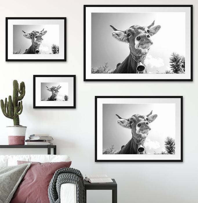 Pixxprint Portrait einer Kuh, im Galerie-Passepartout Bilderrahmen Outlet