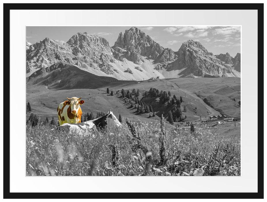 Pixxprint Alpenszene mit Kühen auf grüner Wiese B&W Detail, im Galerie-Passepartout Bilderrahmen Auslauf