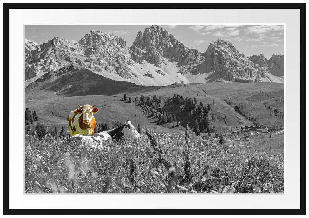 Pixxprint Alpenszene mit Kühen auf grüner Wiese B&W Detail, im Galerie-Passepartout Bilderrahmen Auslauf