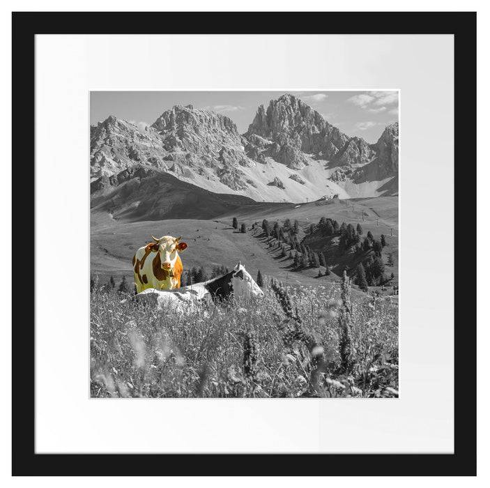 Pixxprint Alpenszene mit Kühen auf grüner Wiese B&W Detail, im Galerie-Passepartout Bilderrahmen Auslauf
