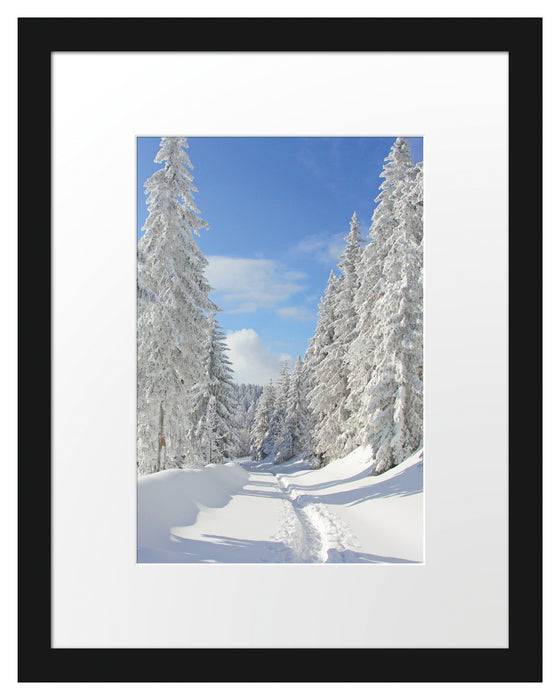 Pixxprint Winterlandschaft Bäume, im Galerie-Passepartout Bilderrahmen Hotsell