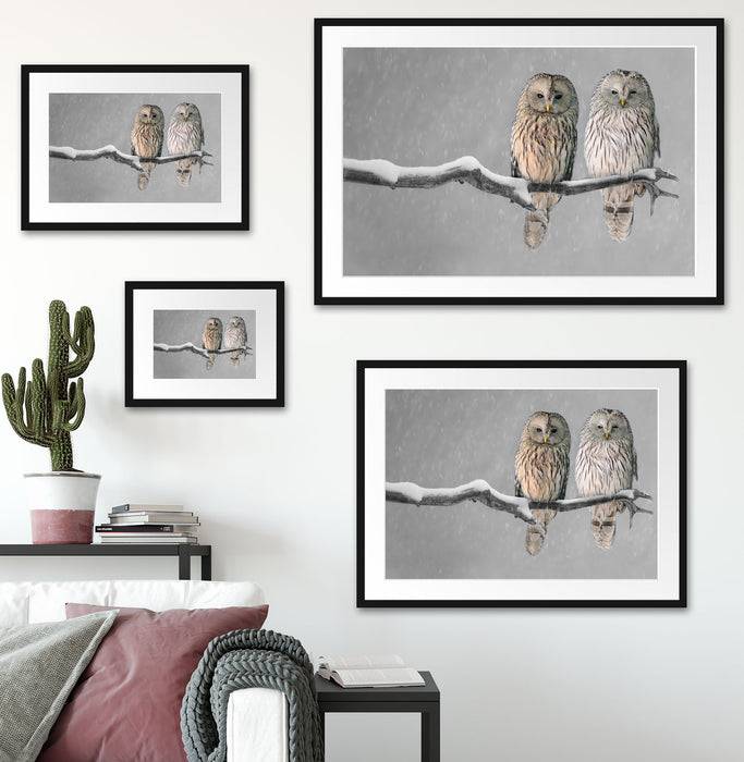 Pixxprint Zwei Eulen in Winterlandschaft, im Galerie-Passepartout Bilderrahmen im Angebot