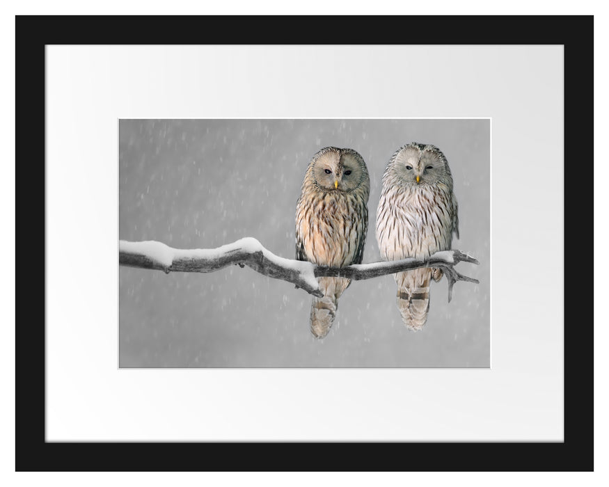 Pixxprint Zwei Eulen in Winterlandschaft, im Galerie-Passepartout Bilderrahmen im Angebot