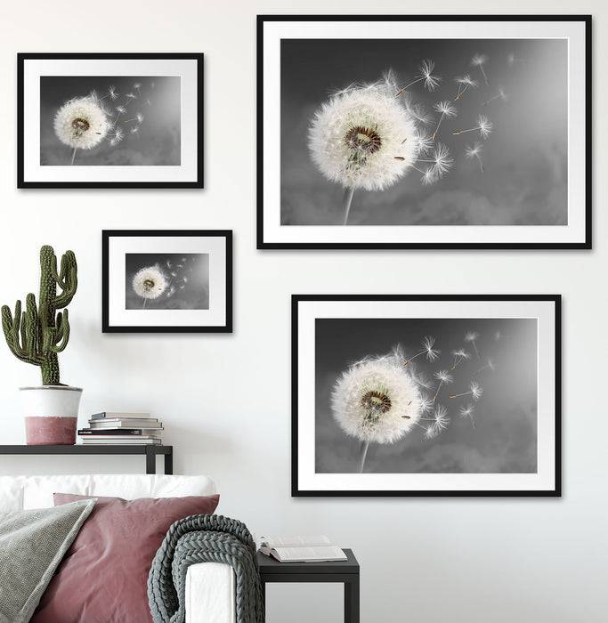 Pixxprint Löwenzahn Samen, im Galerie-Passepartout Bilderrahmen Schlussverkauf