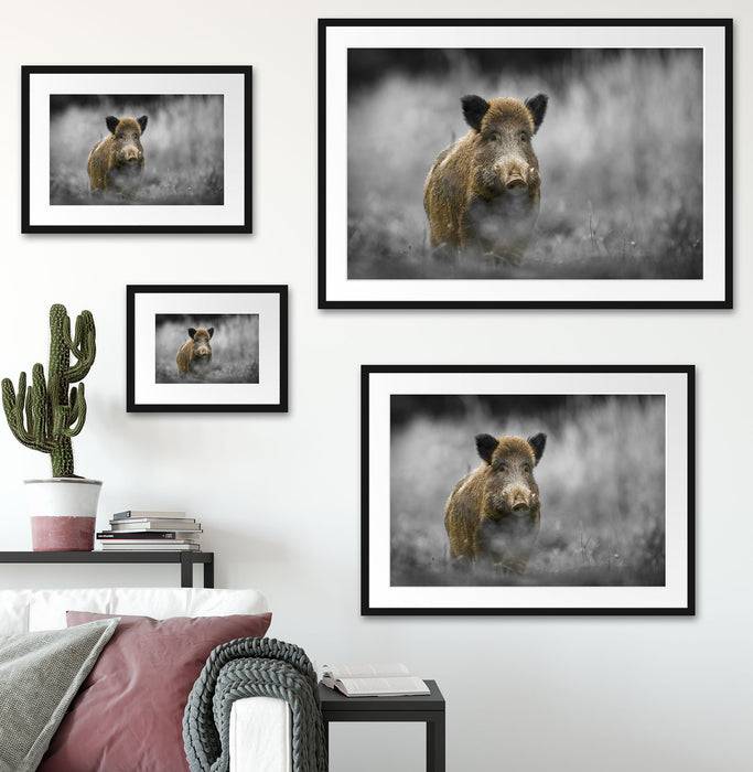Pixxprint einsames Wildschwein im Wald, im Galerie-Passepartout Bilderrahmen Blitzverkäufe