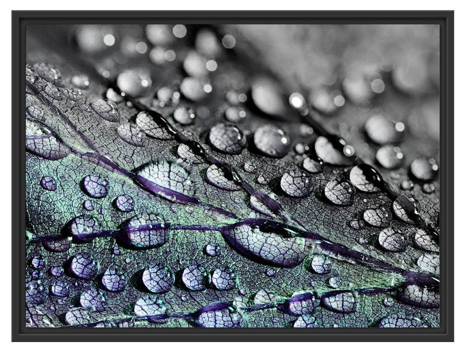Pixxprint Nahaufnahme Wassertropfen auf Blatt B&W Detail, im Schwebe-Effekt Bilderrahmen Muttertagsangebot
