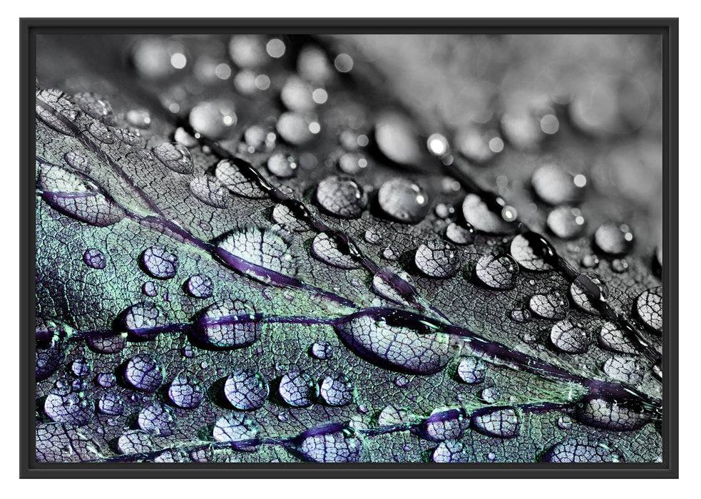 Pixxprint Nahaufnahme Wassertropfen auf Blatt B&W Detail, im Schwebe-Effekt Bilderrahmen Muttertagsangebot
