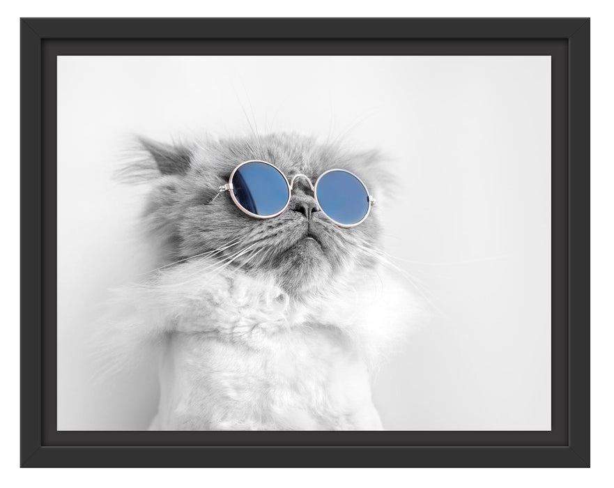 Pixxprint Coole Katze mit runder Sonnenbrille B&W Detail, im Schwebe-Effekt Bilderrahmen