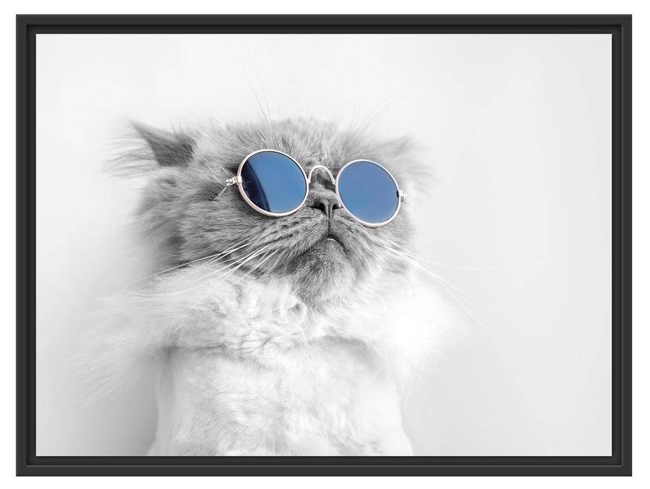 Pixxprint Coole Katze mit runder Sonnenbrille B&W Detail, im Schwebe-Effekt Bilderrahmen Top Angebot