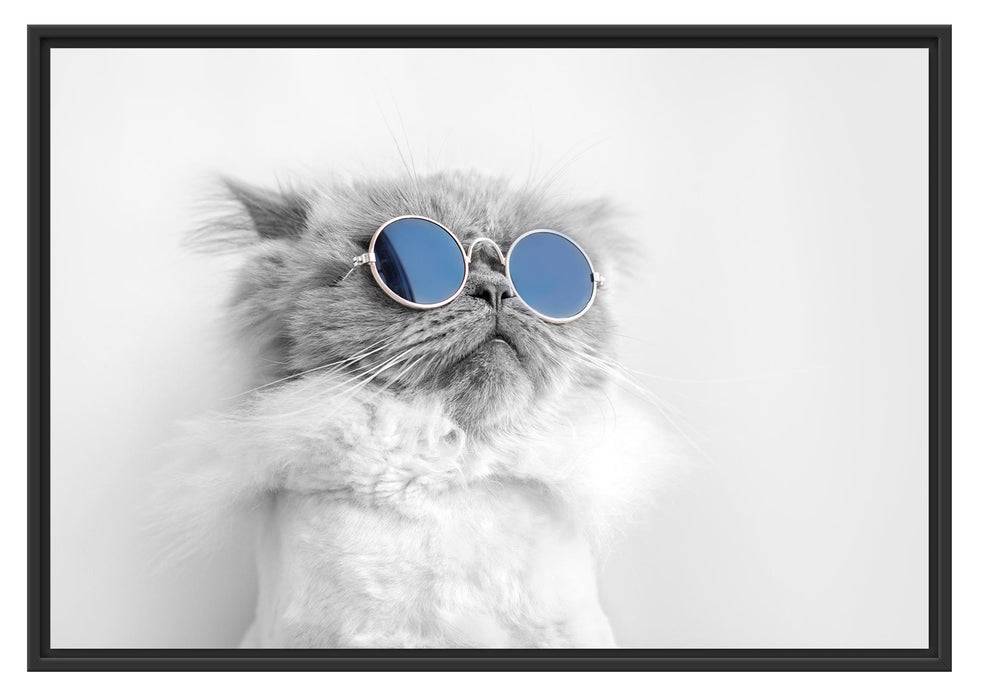 Pixxprint Coole Katze mit runder Sonnenbrille B&W Detail, im Schwebe-Effekt Bilderrahmen Top Angebot